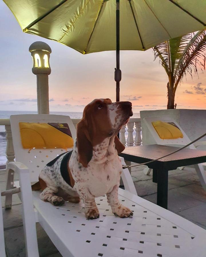 Hotel La Casona Beach El Guayabo Eksteriør billede